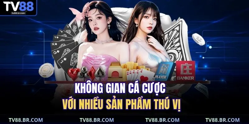 Không gian cá cược với nhiều sản phẩm thú vị 