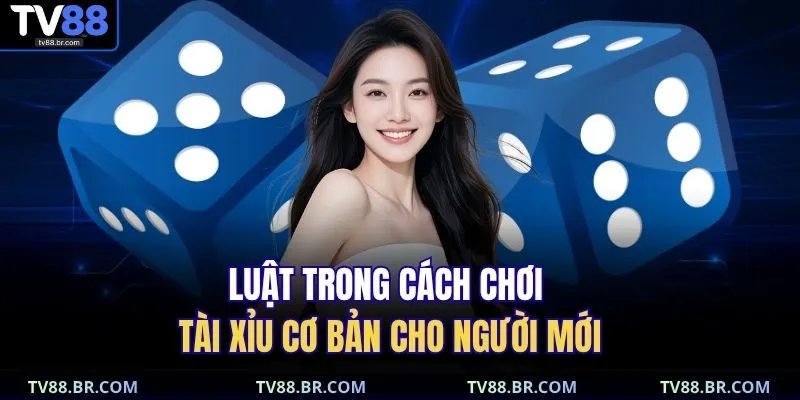 Luật trong cách chơi tài xỉu cơ bản cho người mới