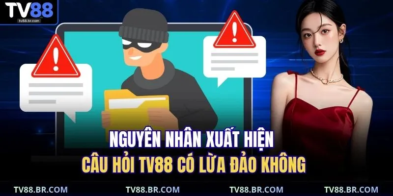 Nguyên nhân xuất hiện câu hỏi TV88 có lừa đảo không