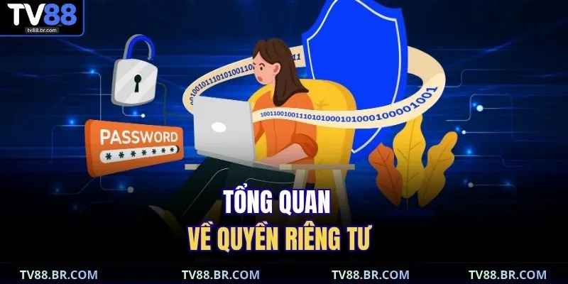 Tổng quan về quyền riêng tư